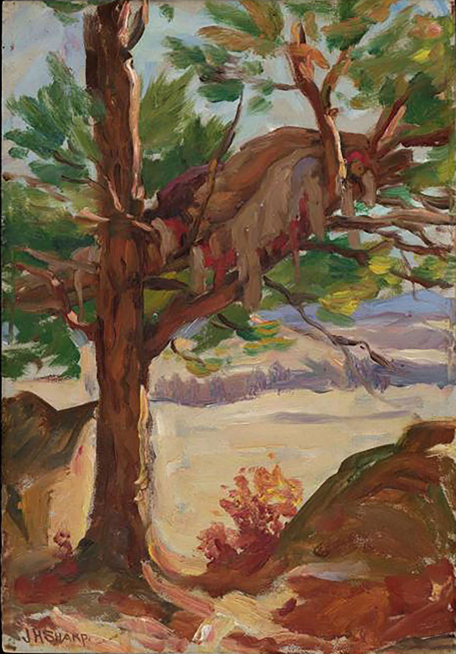 Tree Grave, Lodge Grass, Montana, Crow Reservation